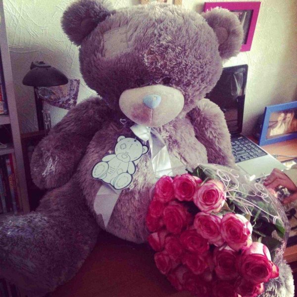 большие мишки