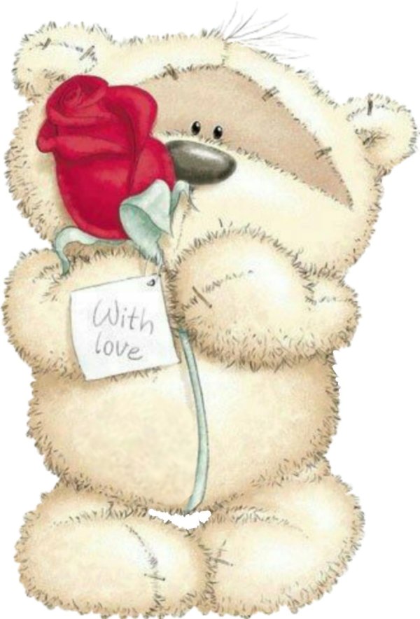 мишка физзи мун