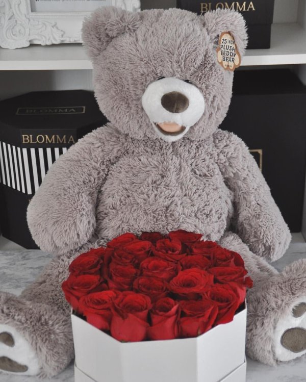 teddy bear teddy bear