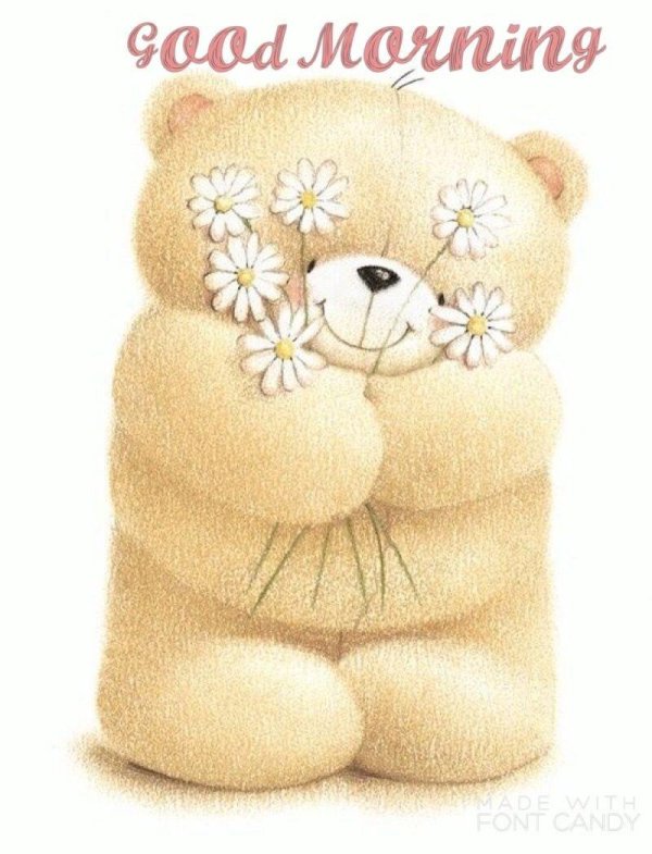 мишки френдс форевер