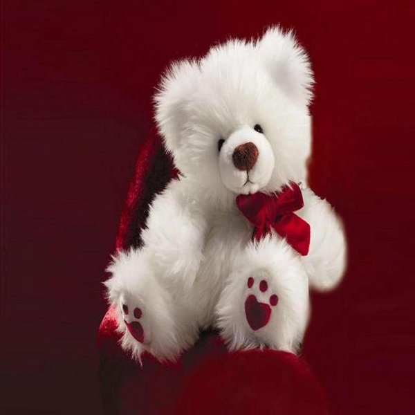 красивые мишки