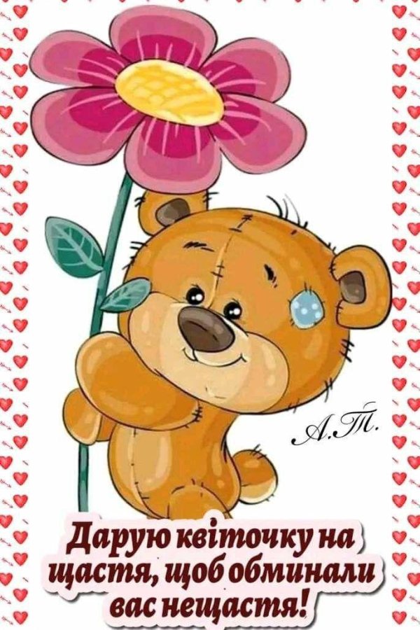 мультяшные мишки