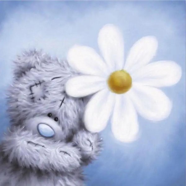 мишка тедди