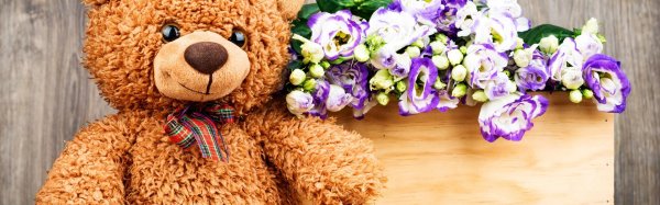 плюшевая мишка