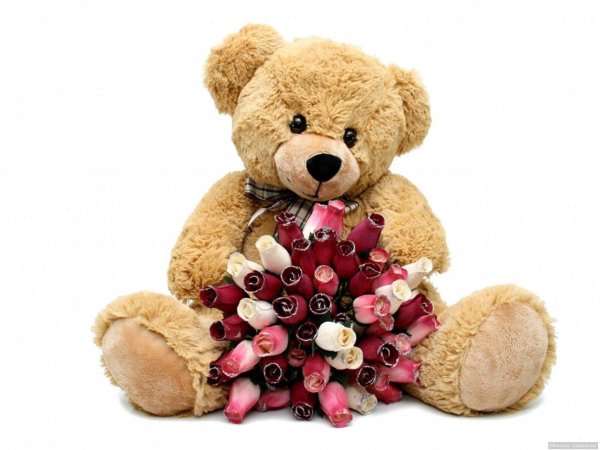 тедди беар цветы