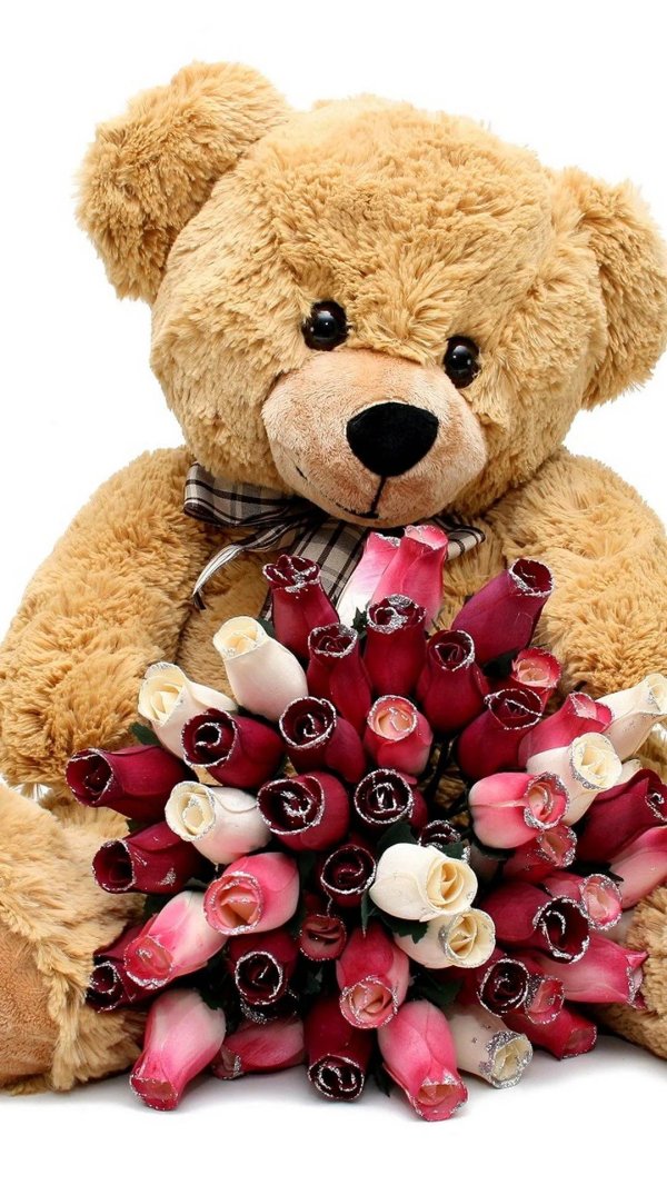 тедди беар цветы