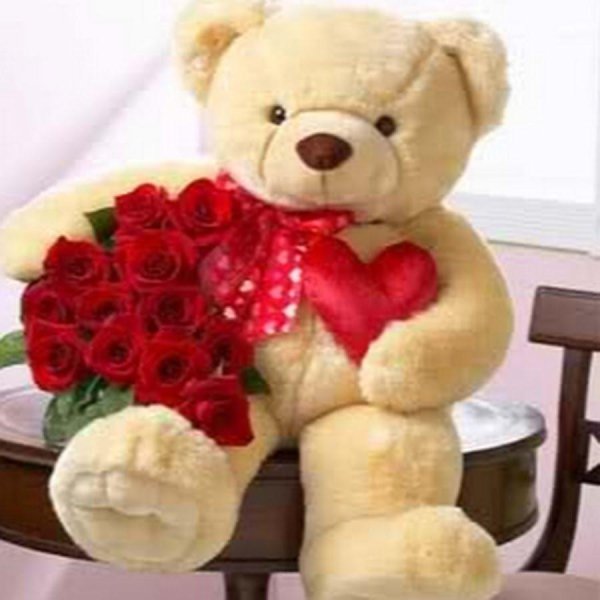 красивые мишки