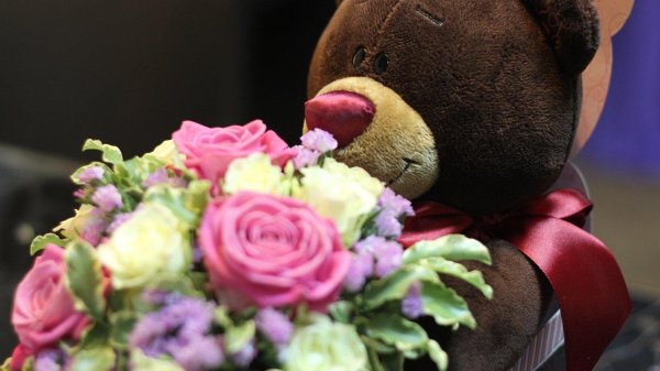 медвежонок дарит букет