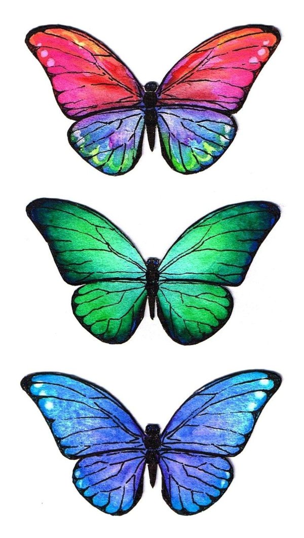 радужные бабочки