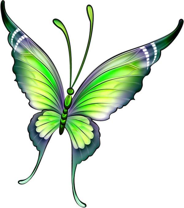 рисунки бабочек