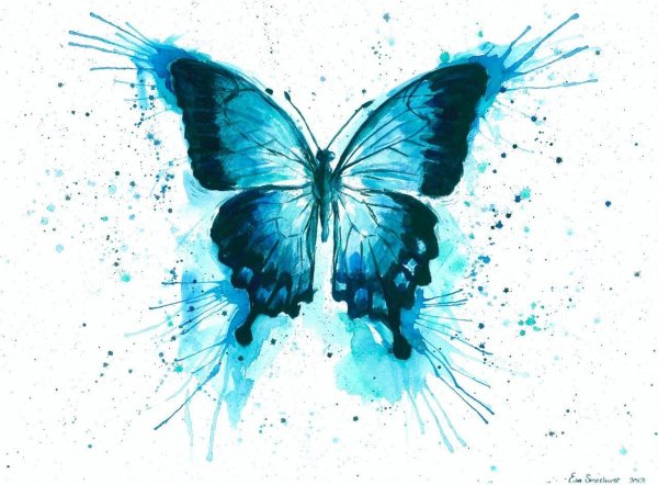 акварельные бабочки