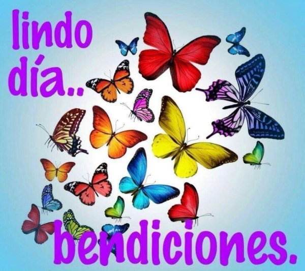 рисунки бабочек