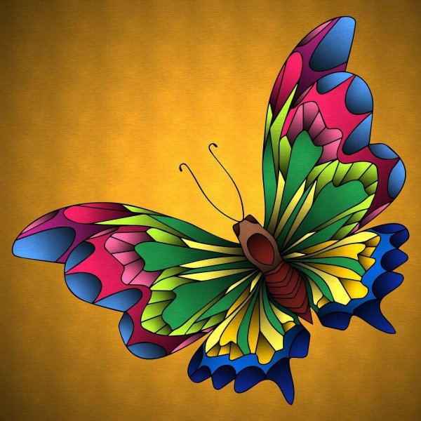 радужные бабочки