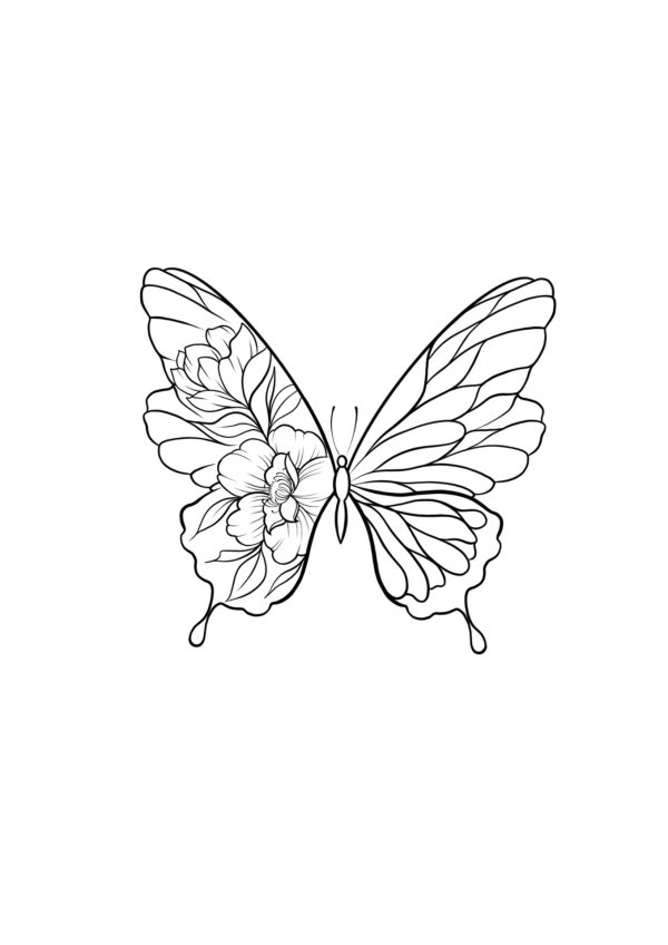 легкие рисунки бабочки