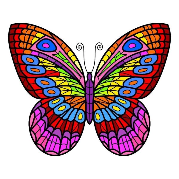 рисунки бабочек