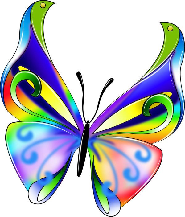 бабочка мультяшная