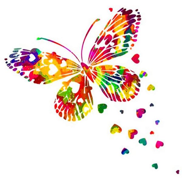радужные бабочки