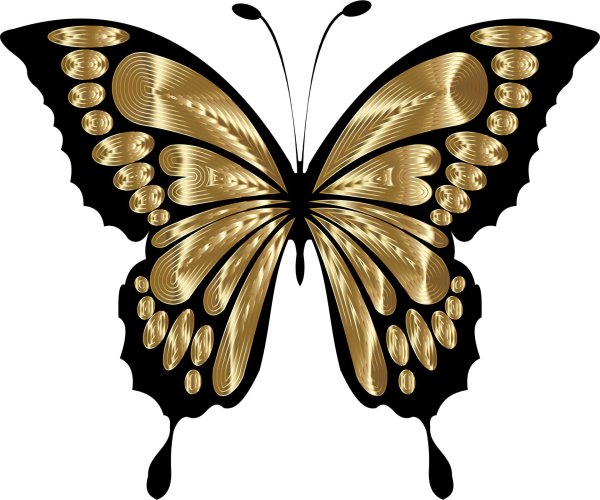 рисунки бабочек