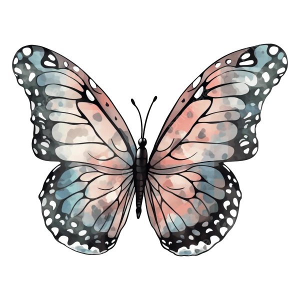 бабочка розовая