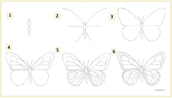 рисование бабочки поэтапно