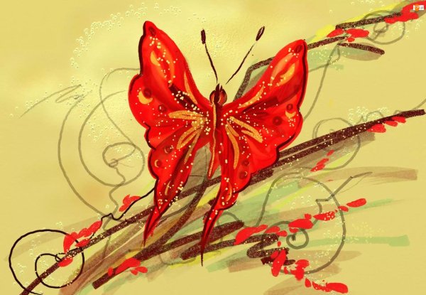 красная бабочка