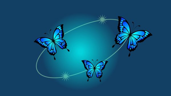синие бабочки