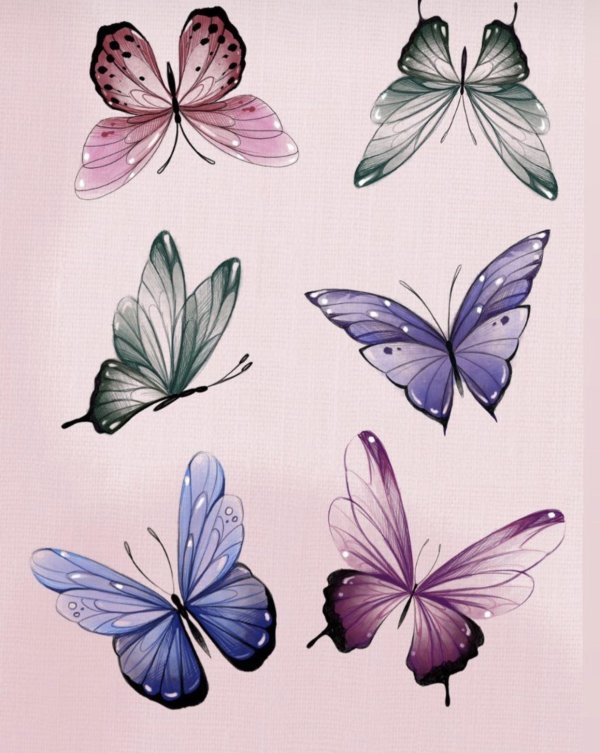 акварельные бабочки