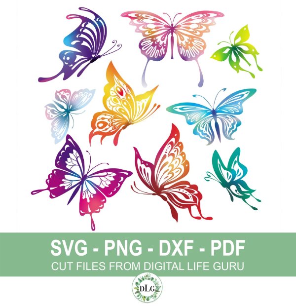 бабочки в векторе