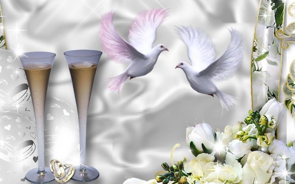 свадебная заставка