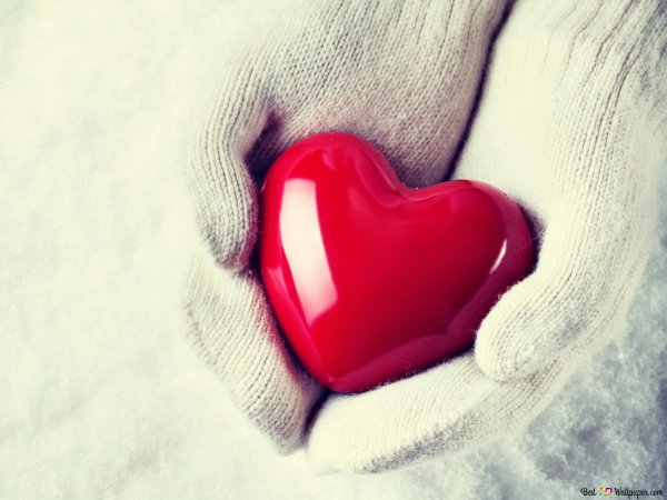 тепло сердец