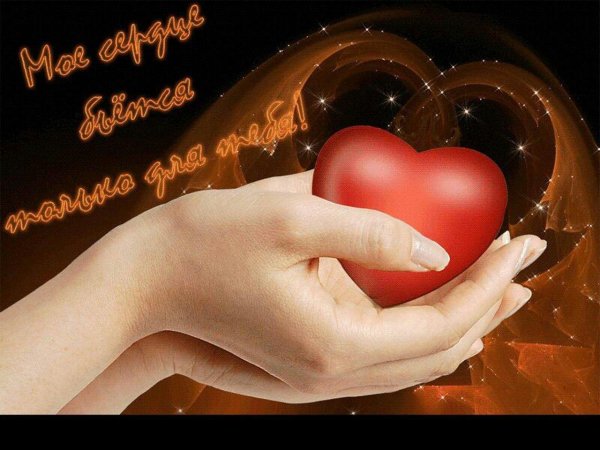 дарю сердце