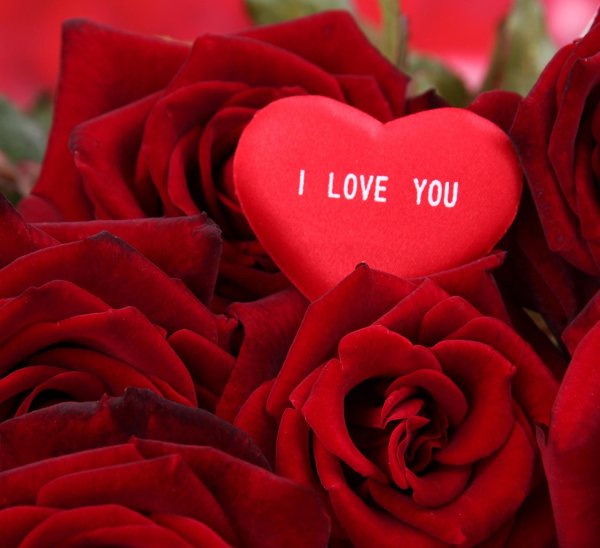 цветы с любовью