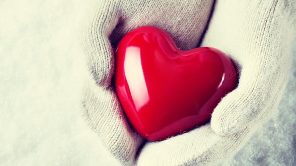 тепло сердец