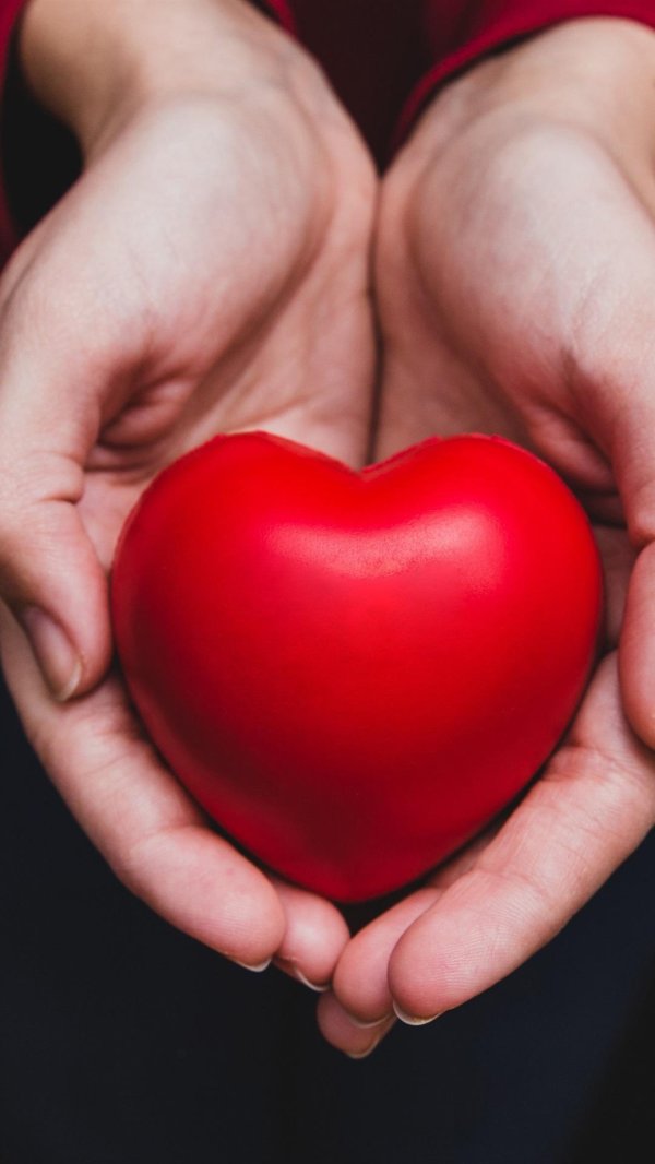 здоровье сердца