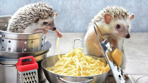 ежики ереминой