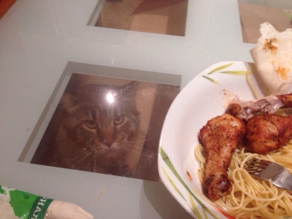 спагетти с курицей