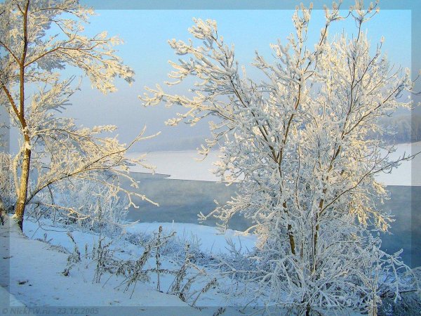 природа зимняя