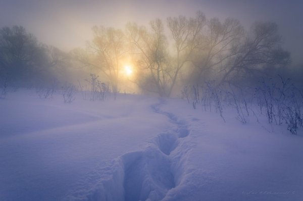 морозный туман