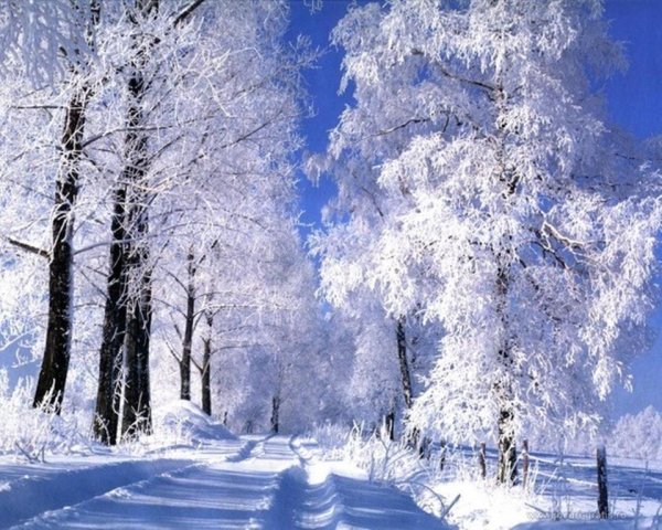 зимняя природа