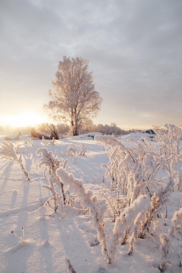 морозного зимнего утра