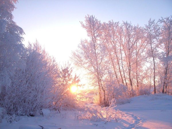 зимнего утра