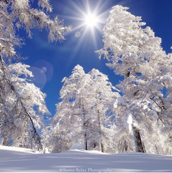 солнечного зимнего дня