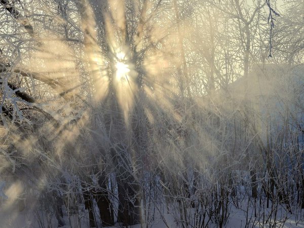 солнечного зимнего утра