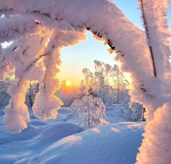 зимнего утра