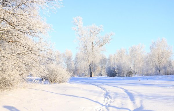 природа зимняя