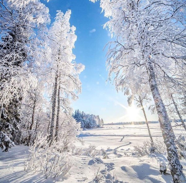 природа зимняя