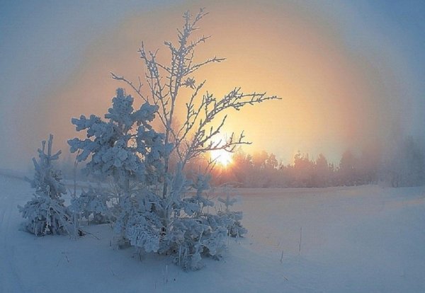 с днем зимнего солнцестояния открытки
