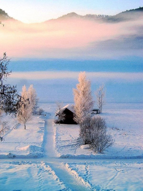 январского утра