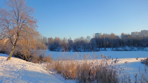 зимняя природа