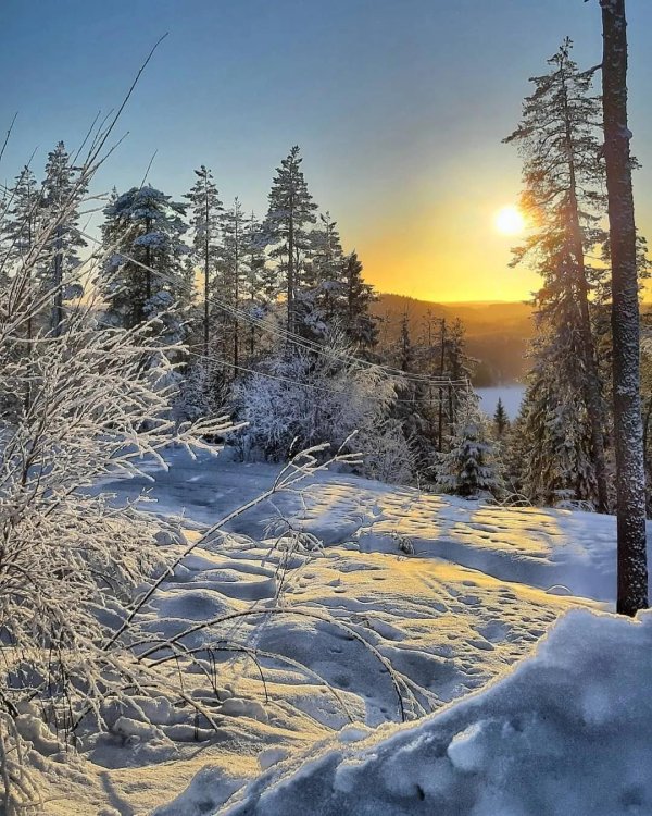 зимняя природа